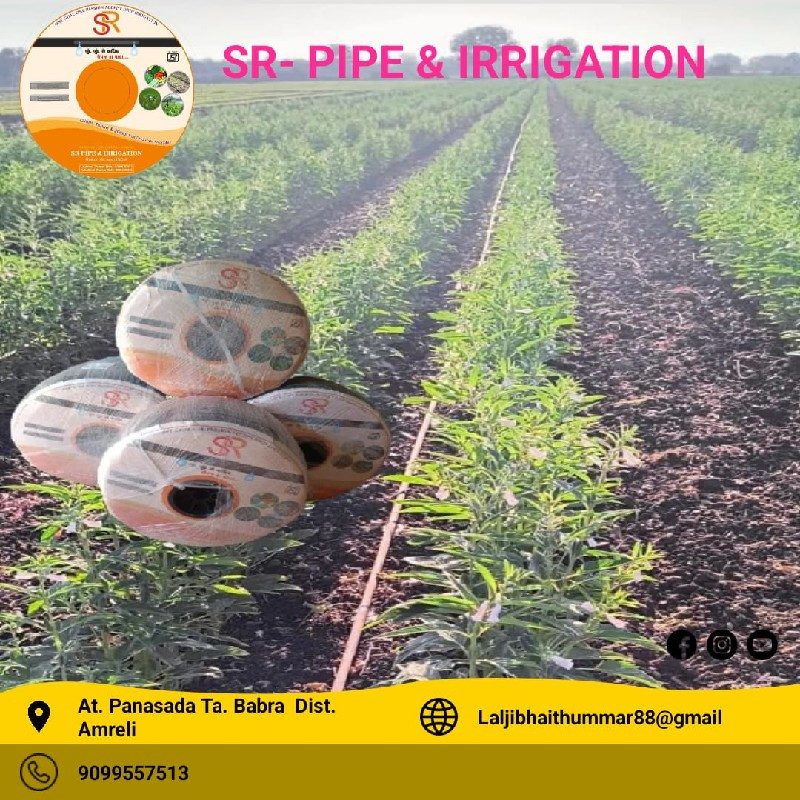 થંબનેલ 4