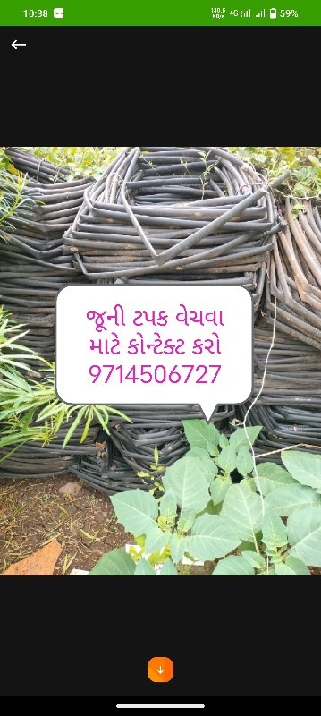 ટપક લાઈન