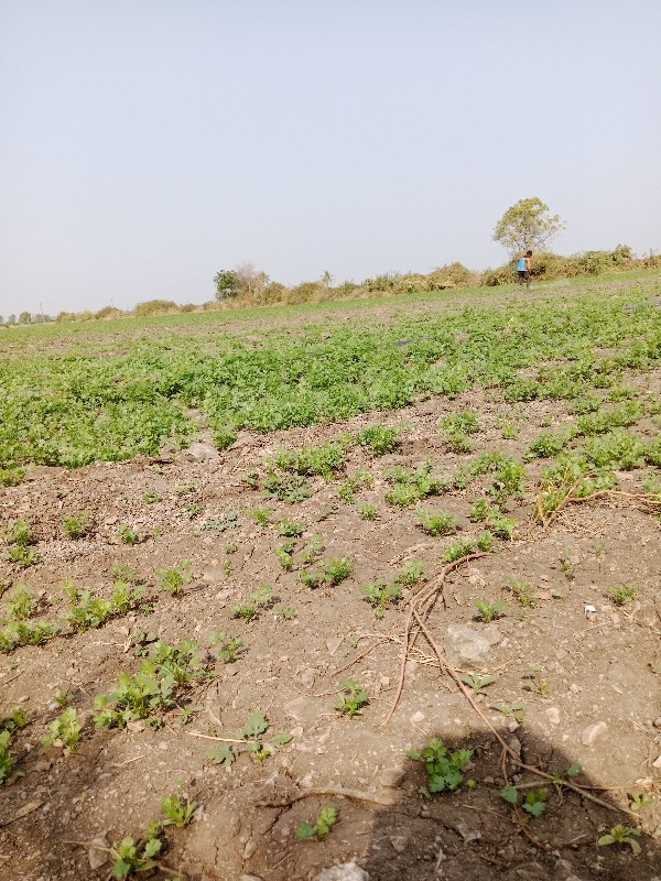 રસ્તો કમ્પ્લીટ...