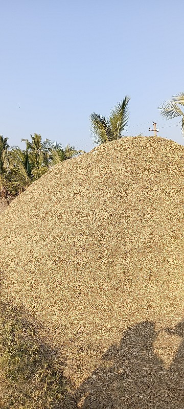 માડવયુ વેસવા નુ...