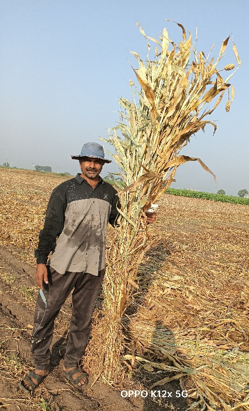 નીરણ વેચવાની છે