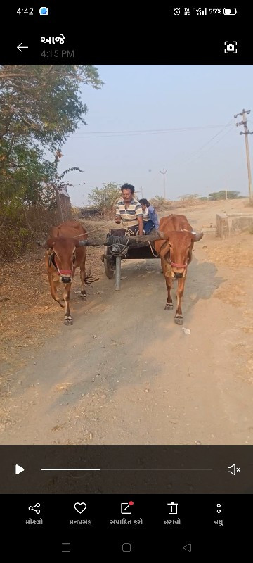 ઘોઢલાં વેચવા ના...