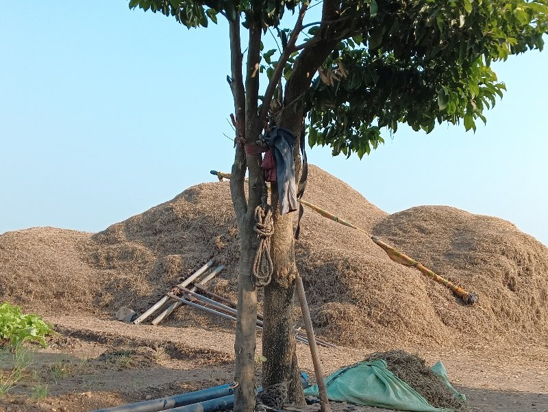 ભુકો વેસવાનો સે