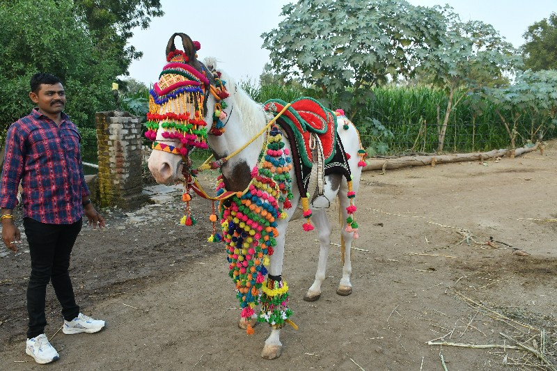 ચાલુ વરઘોડાની