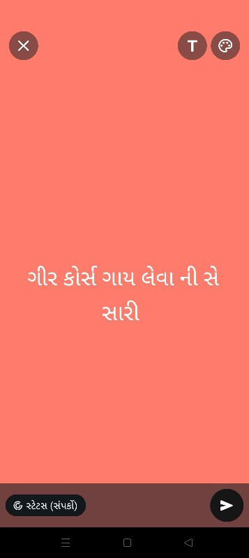 જર્સી ગાયુ શીંગ...