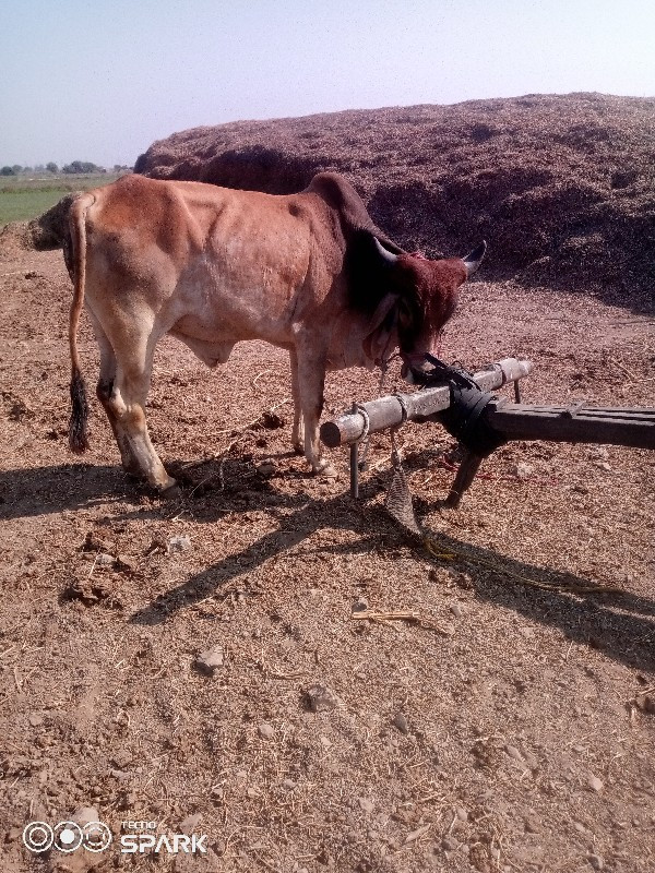 વેચવાનુછે