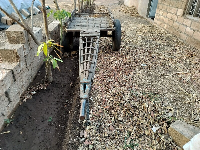 थंबनेल 3