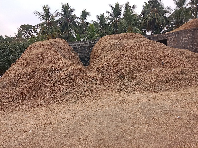 मगोटु वेसवानु स...