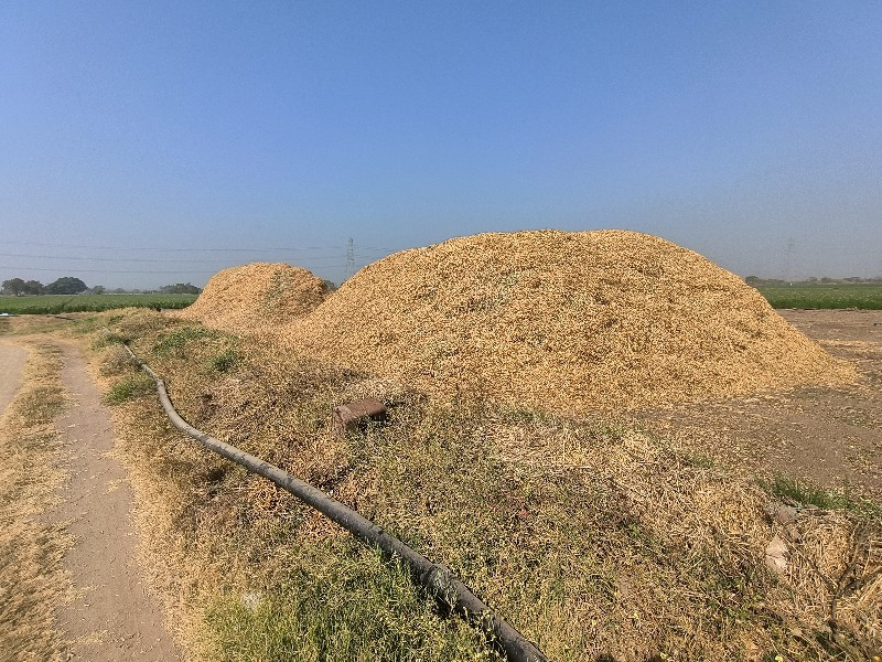 ભુકો 30 વીઘાનો...