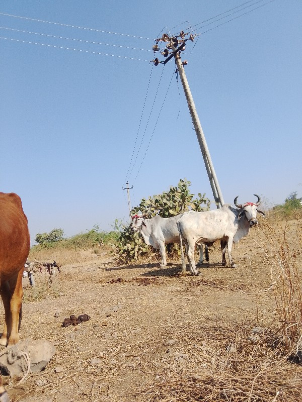 badki Gaon Talu...