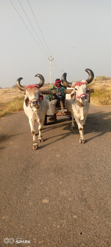 devbhumi Dwarka...