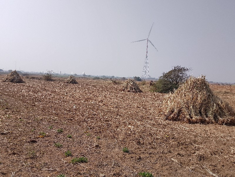 તન્વિઘા ની છે