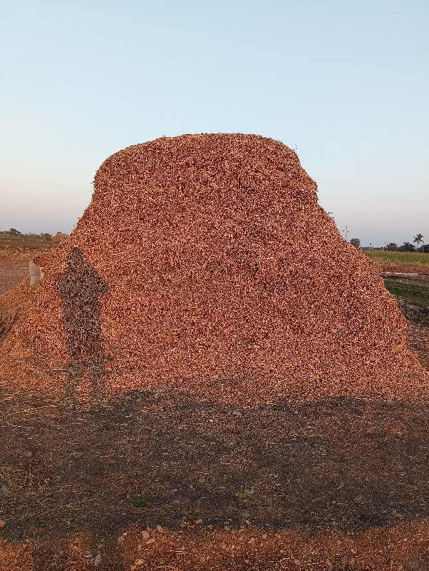 મગફળીનો ભુક્કો...