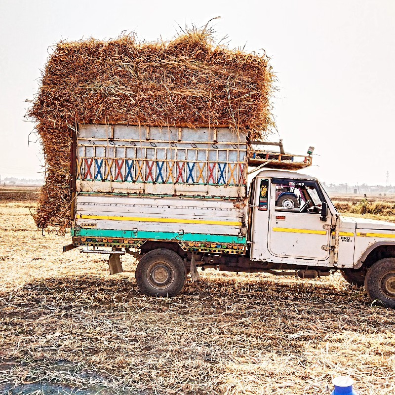 બોલેરો પીકપ