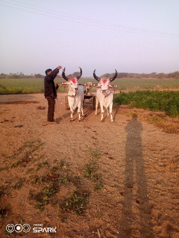 વેચવાનુછે