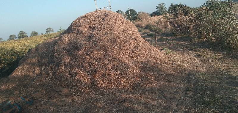 અડદનો ભૂકો વેચવ...