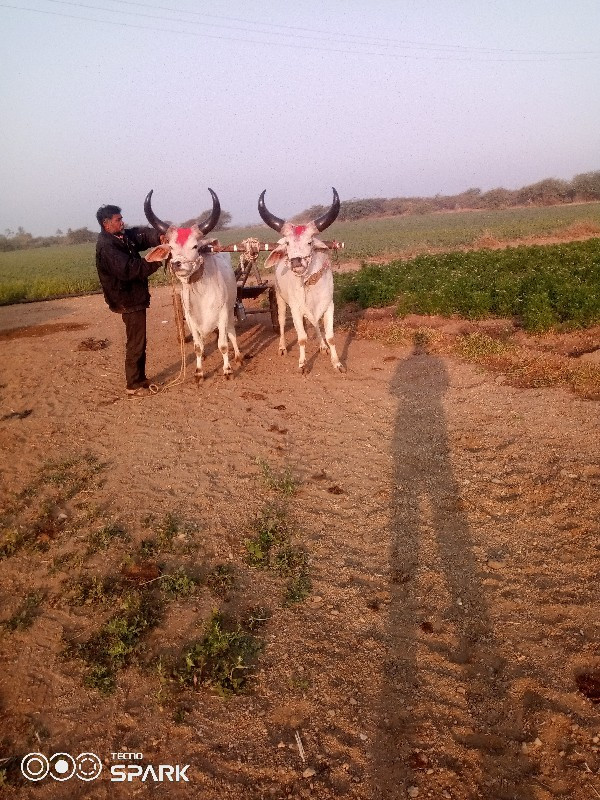 વેચવાનુછે