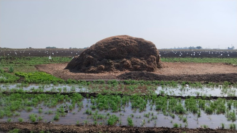 જેવિશનો ભુકો વે...