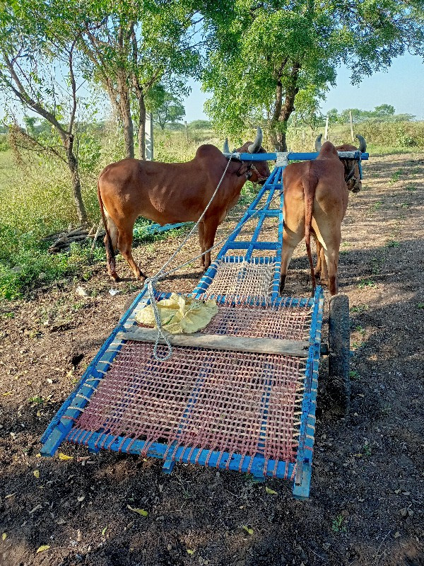 વેચવાના છે