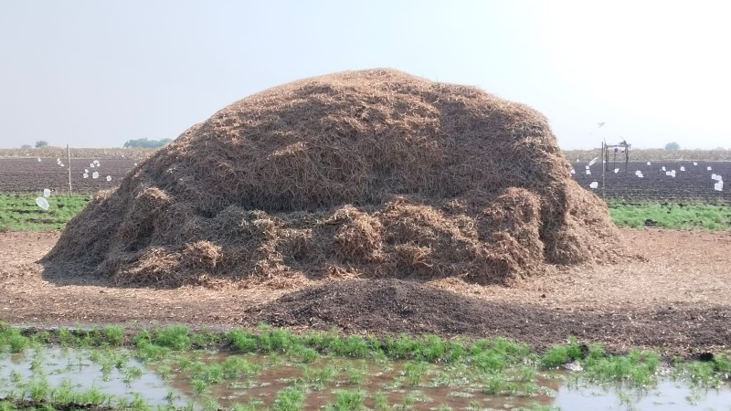 જેવિશનો ભુકો વે...