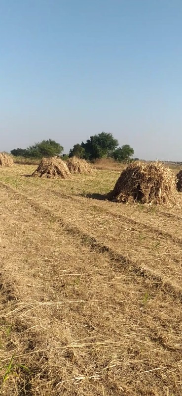 ગુદરીવેચવાનીછે