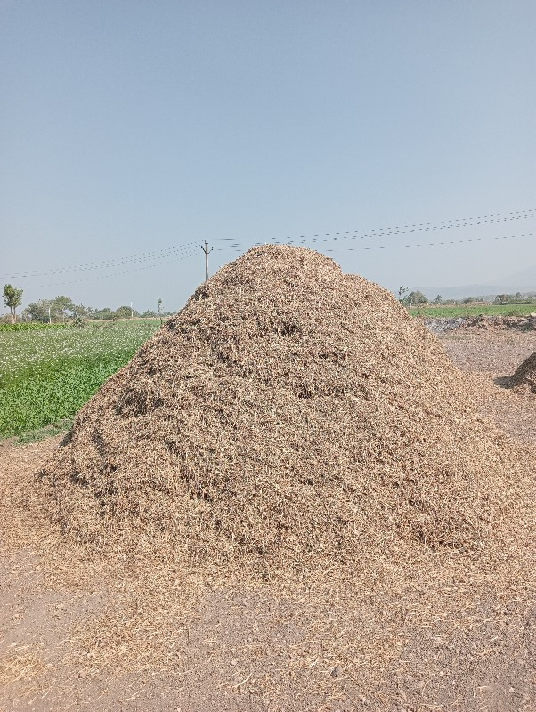 મગોટુ વેચવાનું...