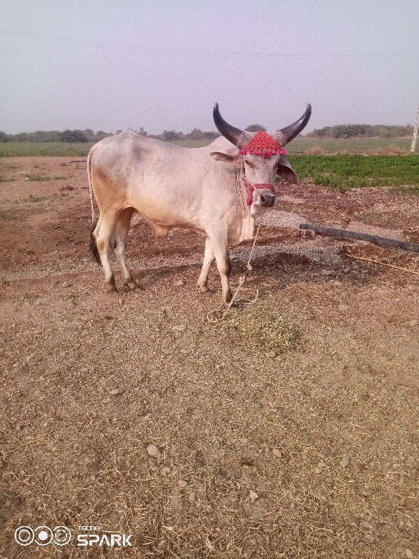 વેચવાનુછે