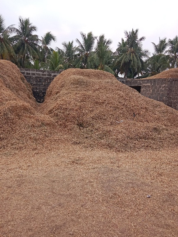 मगोटु वेसवानु स...