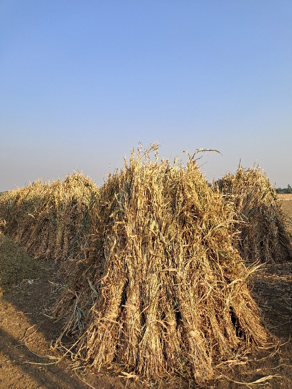 નિરણ વેચવાની છે