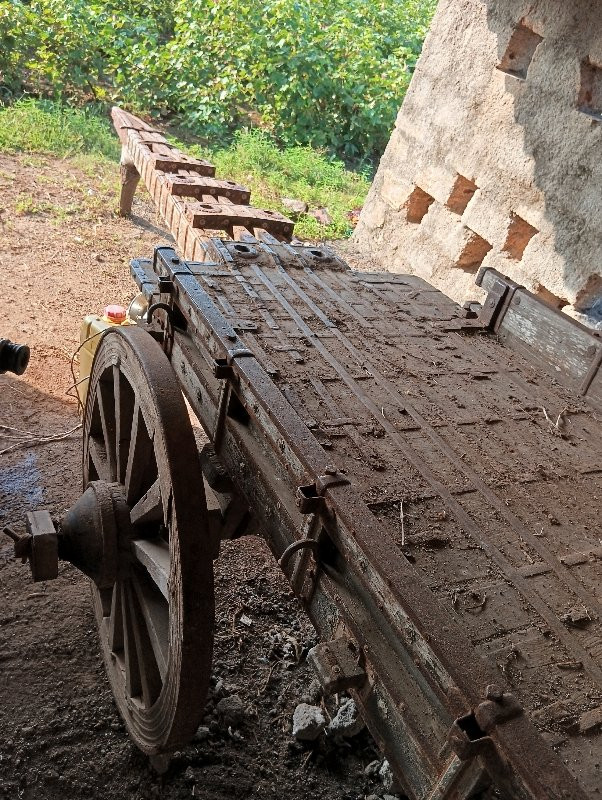 થંબનેલ 2