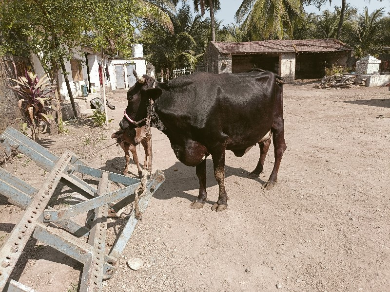 એસબ