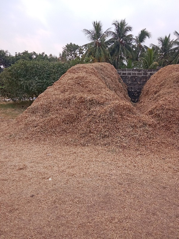 मगोटु वेसवानु स...