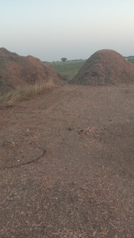 ભુકો વેચવા નો છ...