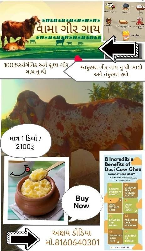 ગીર ગાય નું ઘી....