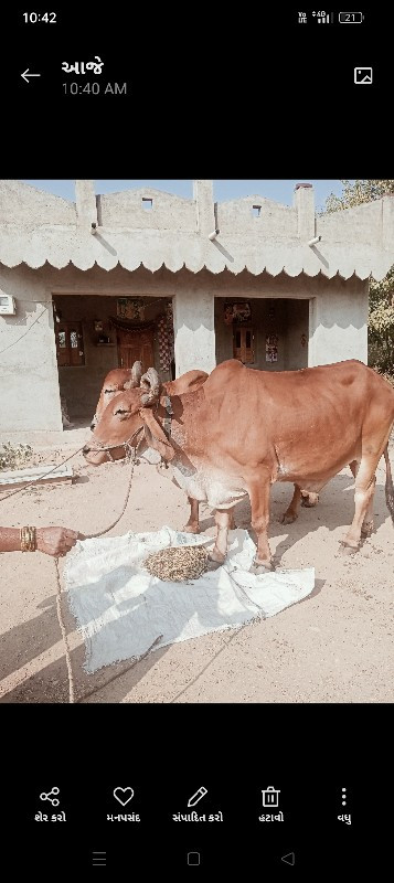 3 તન વાવણી આપેલ...