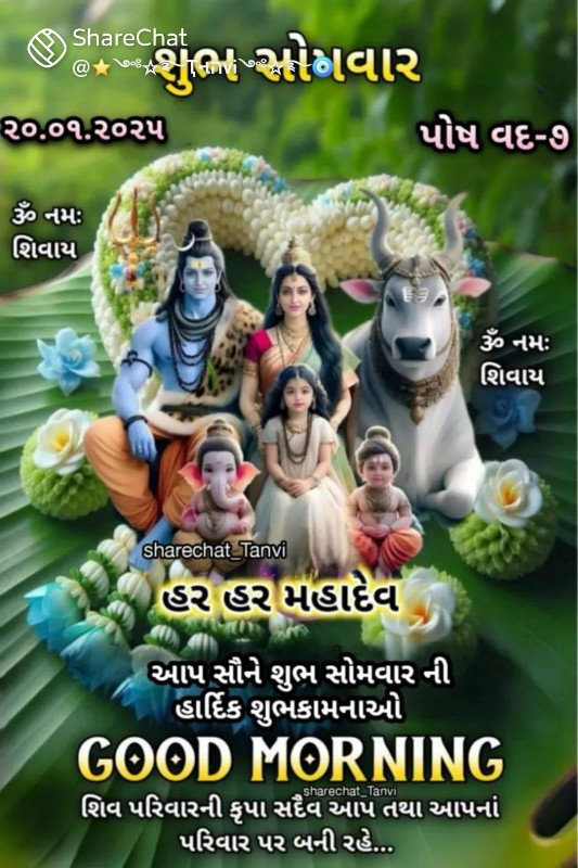 મોટલ‌. 2013