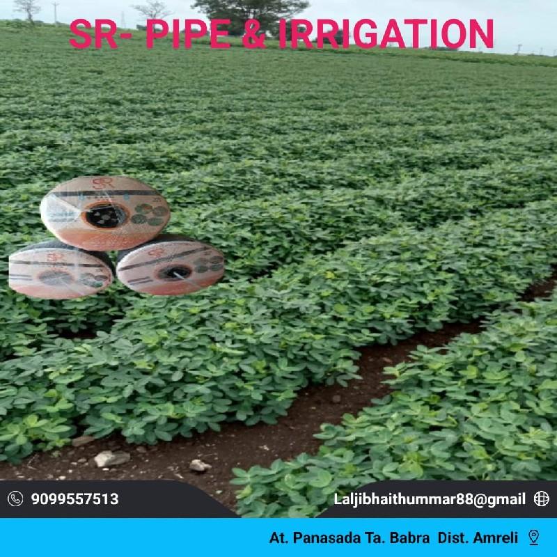 થંબનેલ 6