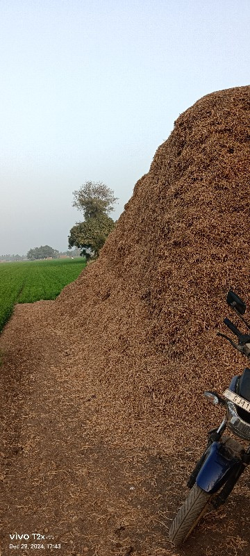 ચારો વેચવાનો છે