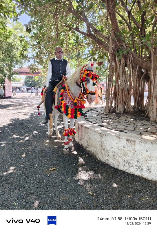 વેચવાની છે