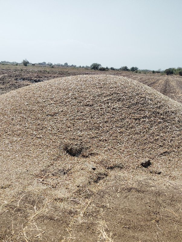 સોયાબીન અને તુવ...