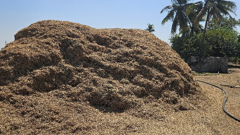 ‘મગફડી નો ભુકો”