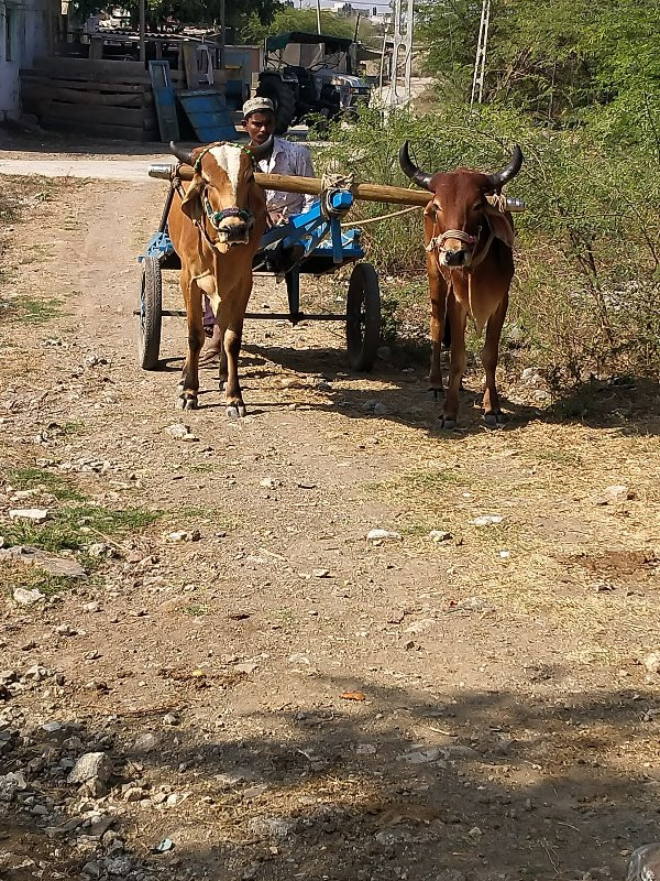 સૌર હજાર રૂપિયા...