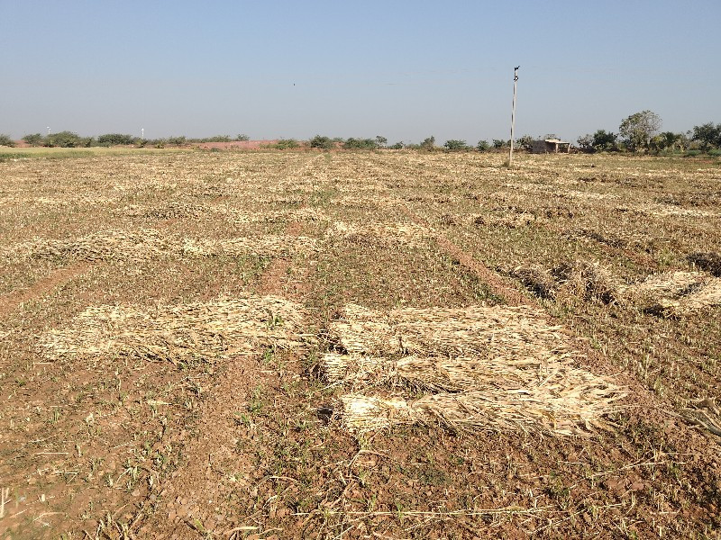 ૧ પુરાનો ભાવ ૨૫...