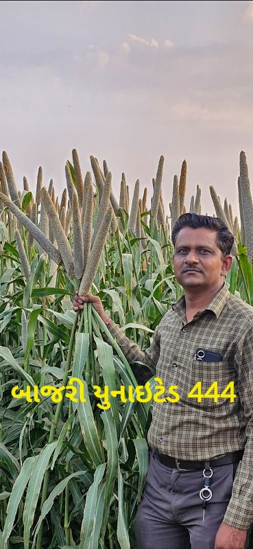 વાહડા