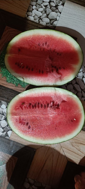 તરબૂચ 🍉