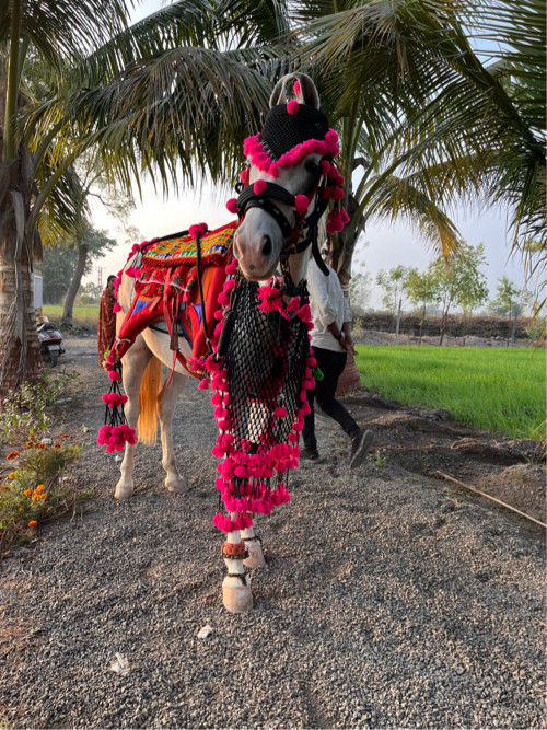 Ghodi vechvani...