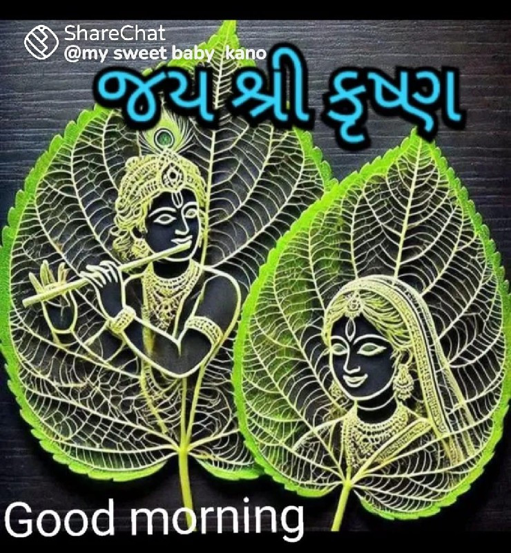 ભેંસ કે ખડેલી લ...