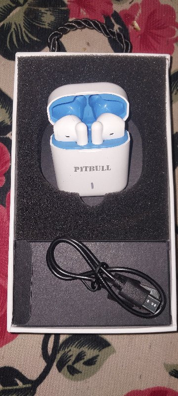 pitbull earbuds