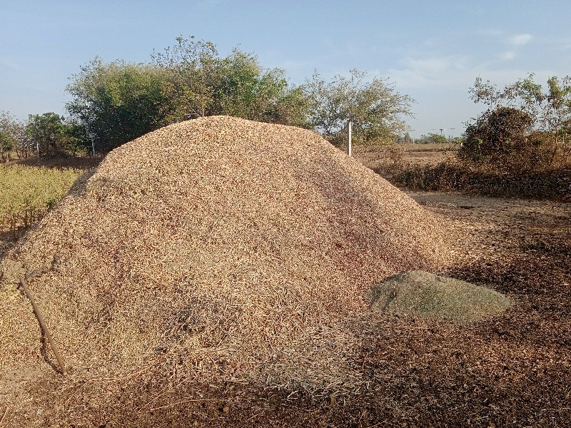 તુવેર નો ચારો વ...