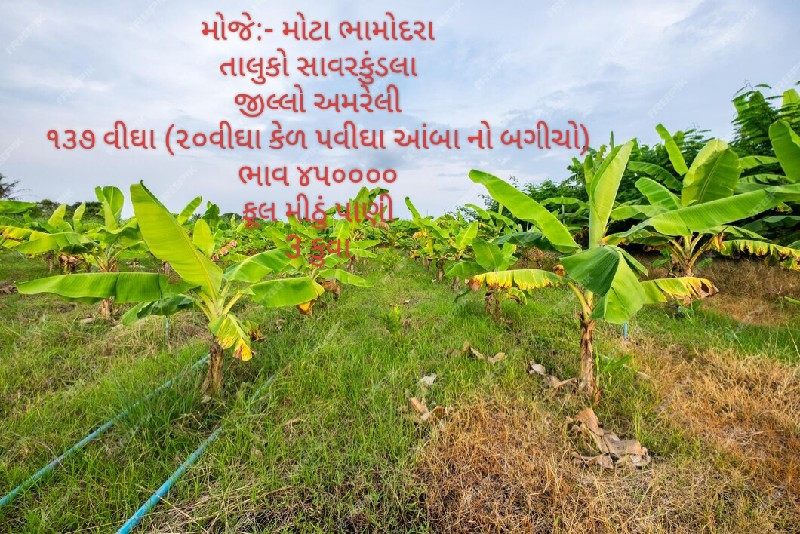 મોજે:- મોટા ભામ...